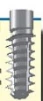 Evolution 2000 (3.25) - 1