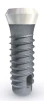 Smilea (4.1) - 1