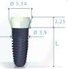 Smilea Conic (3.9) - 3
