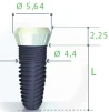 Smilea Conic (4.4) - 3