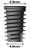 Conus 12 (5.0) - 2