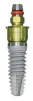 Interna Universal Plus Platform (4.1) - 2