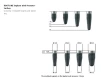 Root Line (3.8) - 2