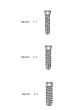 Screw Implant - 2