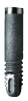 IMZ TwinPlus Apical Screw (4.0) - 1