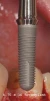 ScrewPlant (4.7) - 6