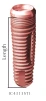 Standard Platform Conic Body (4.3) - 2
