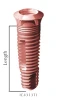 Wide Platform Conic Body (5.5) - 2