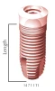 Wide Platform Straight Body (5.5) - 4