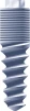 Templant - 5