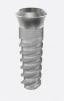 MISTRAL (4.8) - 1