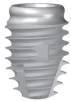 IS II active Short - 1