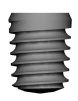 T5 (5.8) - 2