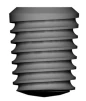 T5 (5.8) - 1