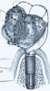 Osfix - 3