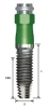 US II Regular (4.1) - 2