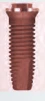 Tryon PE (5.0) - 1