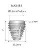Max IT 8 (6.5) - 2