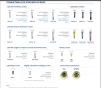 Deep Conical Co-Axis Parallel Walled 3.5mm DCC35-12D - 3