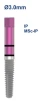 Piccolo IP/MSc-IP - 2