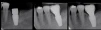 Max 7 (5.0) - 4