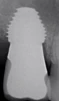 Max 9 (7.5) - 2