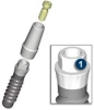 Standard Plus (NN) - 5