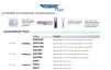 Winsix Flash - 5