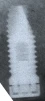 Spline Twist (3.75) - 5