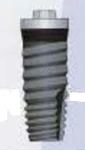 SDS Tapered RBM (6.0)