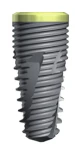 Bone Level Tapered-BLT B2 (3.1)