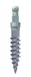 Biotec Mini Implant