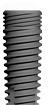 Conus 12 (3.5)