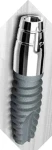 Denti One Piece (DOP)