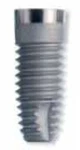 Cylindrical Implus Polished Neck Internal Hex (4.0)