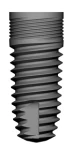 T4 (6.0)