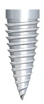 Maxi Z (3.75)