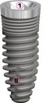 EVL Konik 3.3 (3.8)