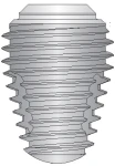 Max IT 7 (4.8)