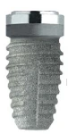 Kohno (6.0)