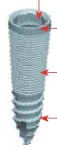 Fratex Internal Octagon