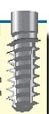 Evolution 2000 (3.25)