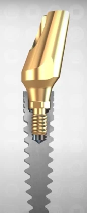 Nice Conical Narrow Connection (CHC)