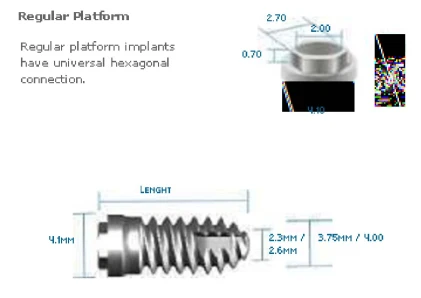 e-fix Silver External Hexagon (4.1)