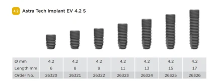 EV 4.2 S