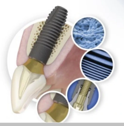 EV 4.8 C