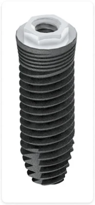 Externa