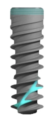 Cyclone (3.5)