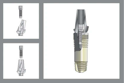 BioComp System HAVD