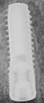 Bone Level-BL B0